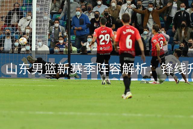 山东男篮新赛季阵容解析：锋线升级显成效 后场短板待补强
